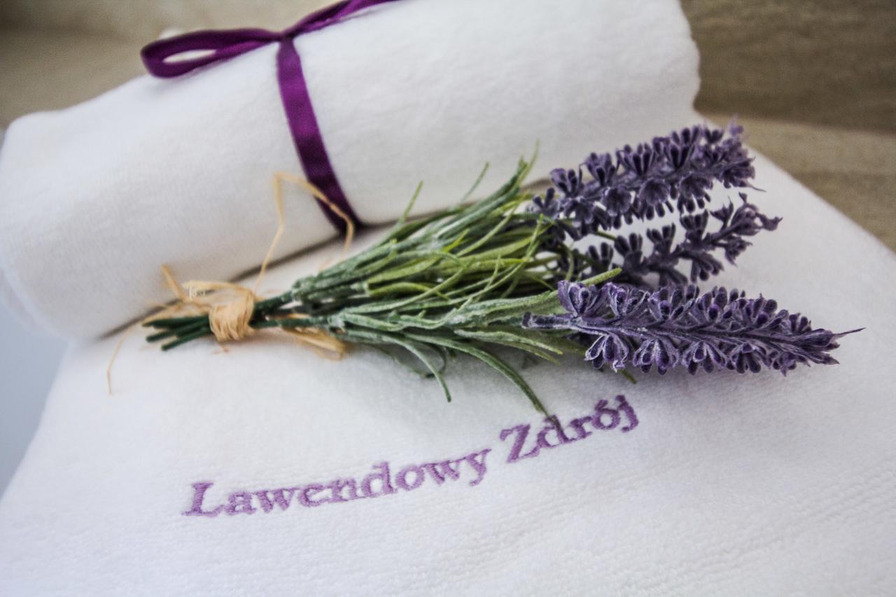 Lawendowy Zdroj Medycyna I Spa Busko-Zdrój Exterior foto